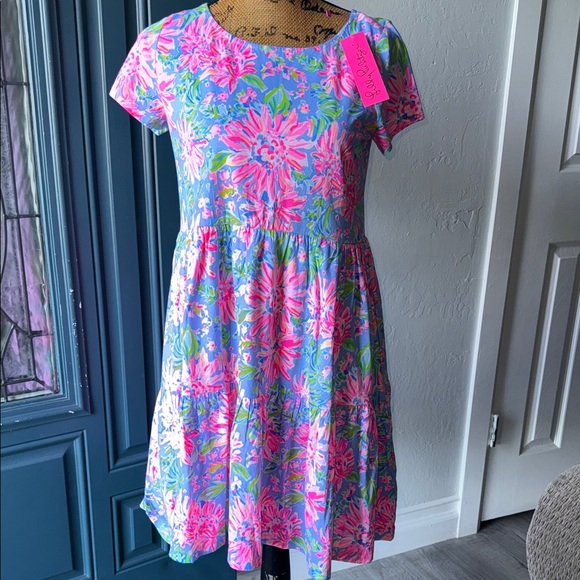 Lilly Pulitzer Pink and Blue Floral Dress - Picture 1 of 4